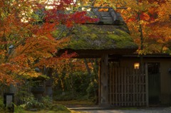 湯布院の紅葉