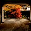 廃墟と紅葉
