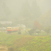 難しい