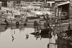 子安浜