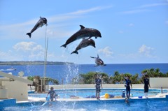 空だって飛べるもん