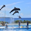 空だって飛べるもん