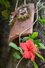 ハイビスカスが咲く家