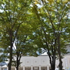 横濱散歩_02