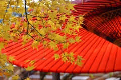 紅葉