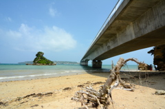 KOURI ISLAND OKINAWA2