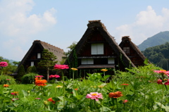 SHIRAKAWAGO