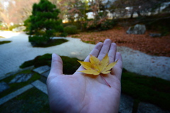 晩秋３