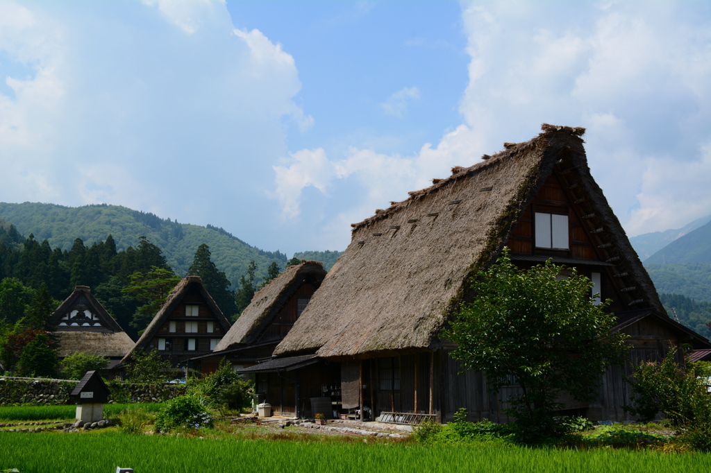 SHIRAKAWAGO2