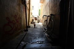 CAT, BICYCLE.