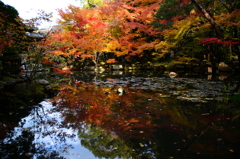 南禅寺 天授庵にて５