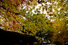 南禅寺 天授庵にて１