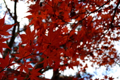 南禅寺 天授庵にて２