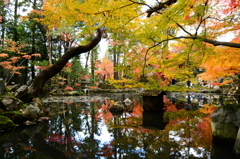 南禅寺 天授庵にて３