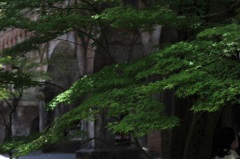 南禅寺水路