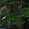 南禅寺水路