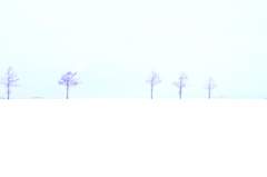 木