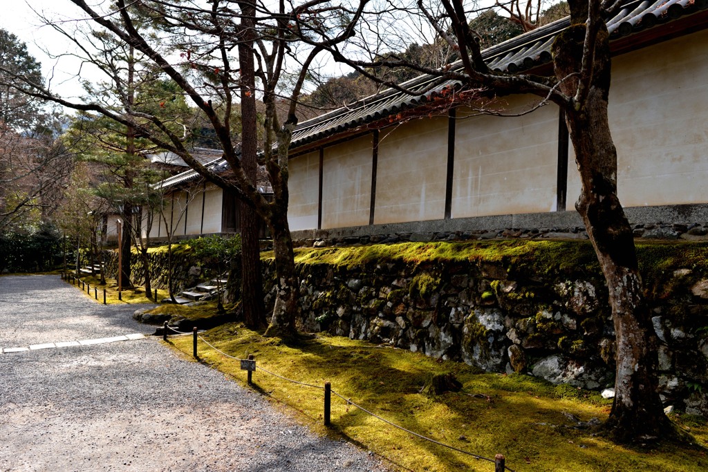 そうだ京都に行こう