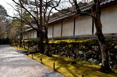 そうだ京都に行こう