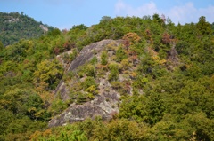 岩肌