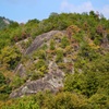 岩肌