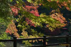 秋の小松寺