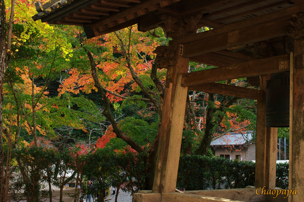 秋の小松寺