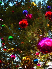 うき・うき・うき