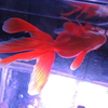 DSCN2181