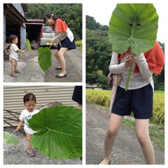 トトロごっこ