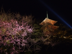 清水寺