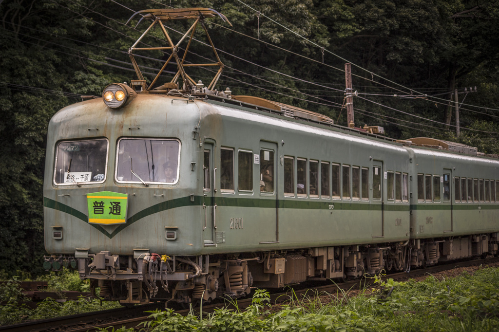 ２１０００系　（元南海電気鉄道：ズームカー）　