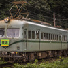 ２１０００系　（元南海電気鉄道：ズームカー）　