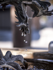 Dragon Water