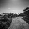 秋・海・道
