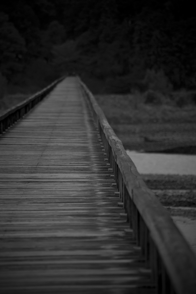 雨の蓬萊橋