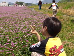 さんぽ