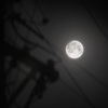 my room moon