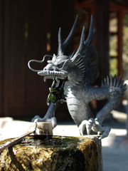 龍