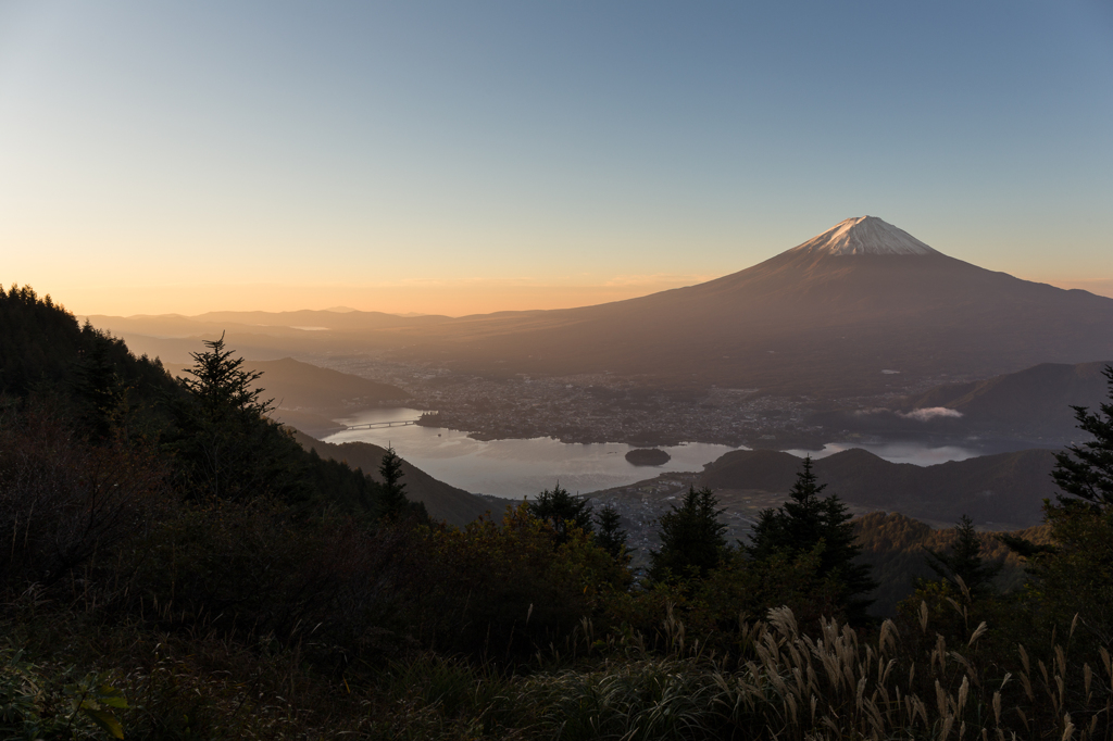朝日を浴びて