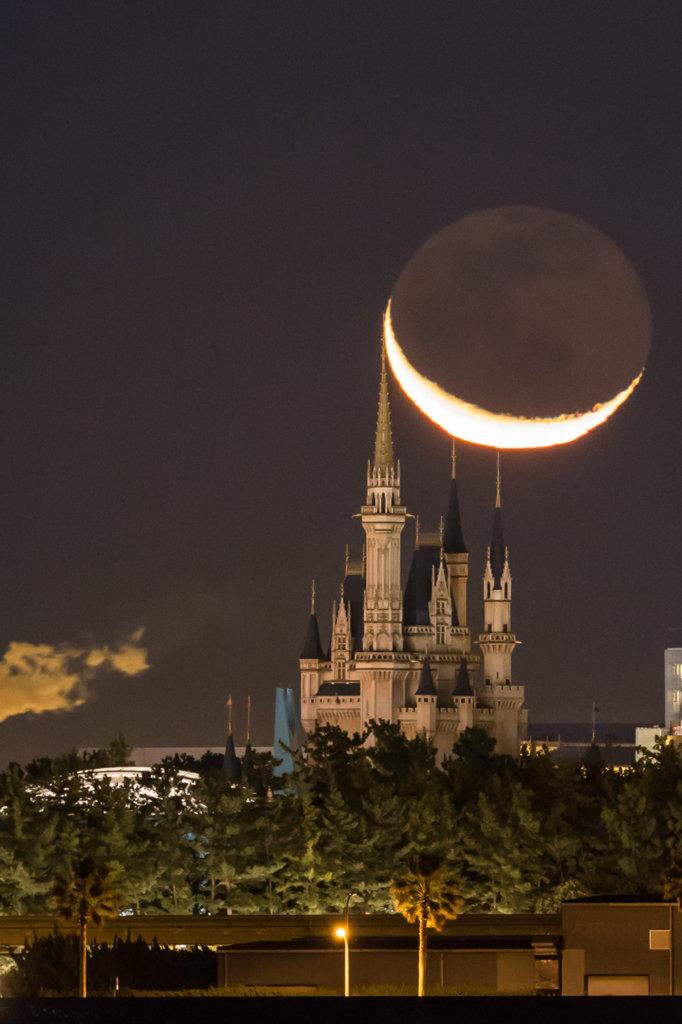 Cinderella　Moon