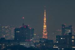 東京タワー（生田から）