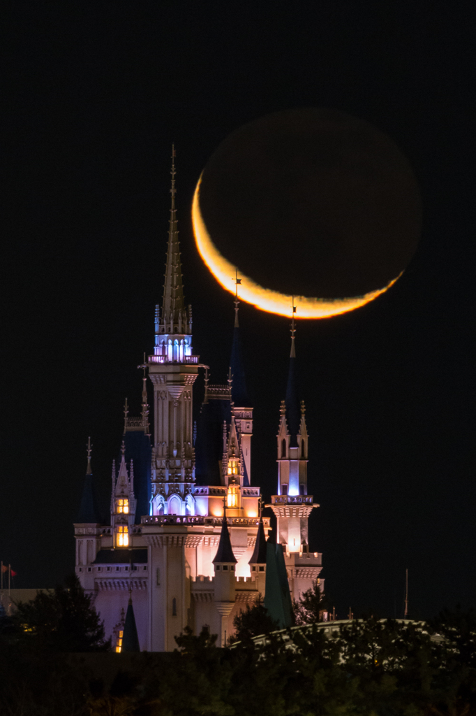 Cinderella　Moon　2015/1/18