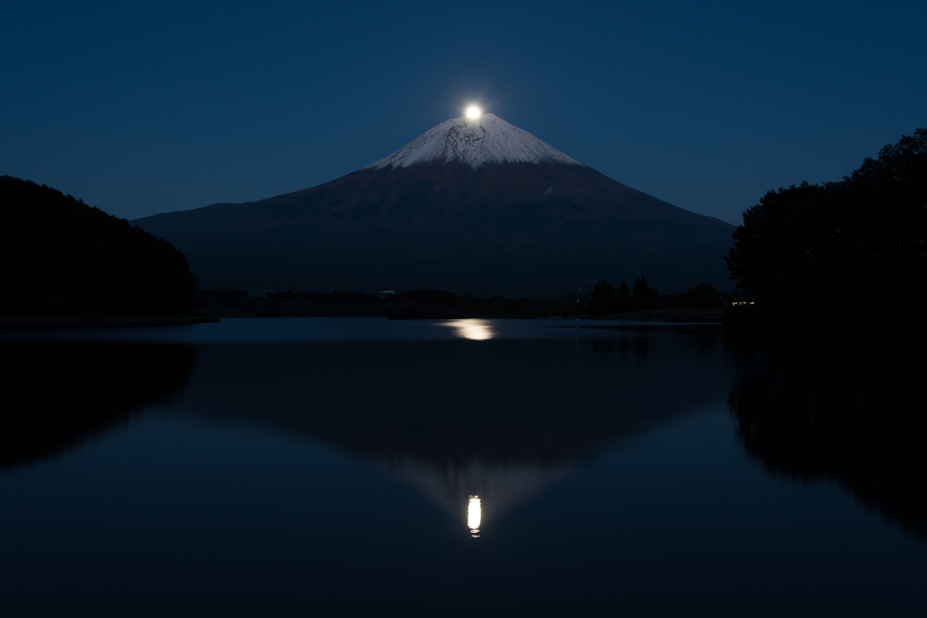 Lake Tanuki　Pearl Fuji