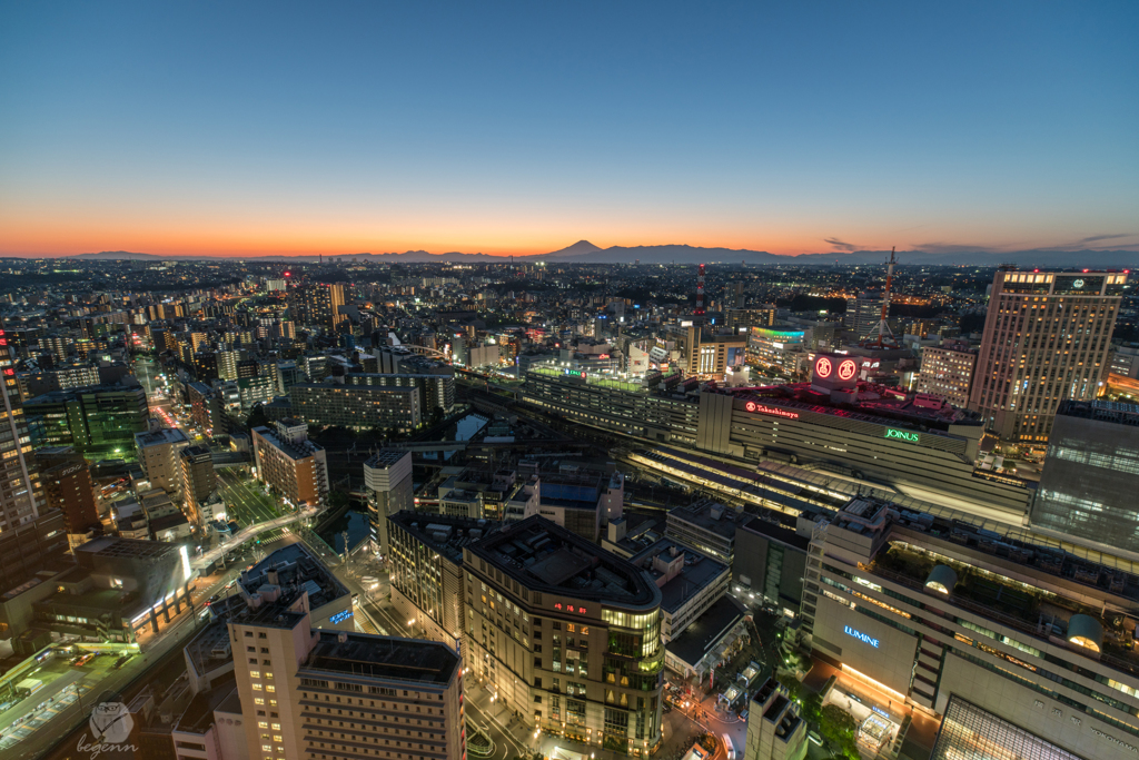 YOKOHAMA2019