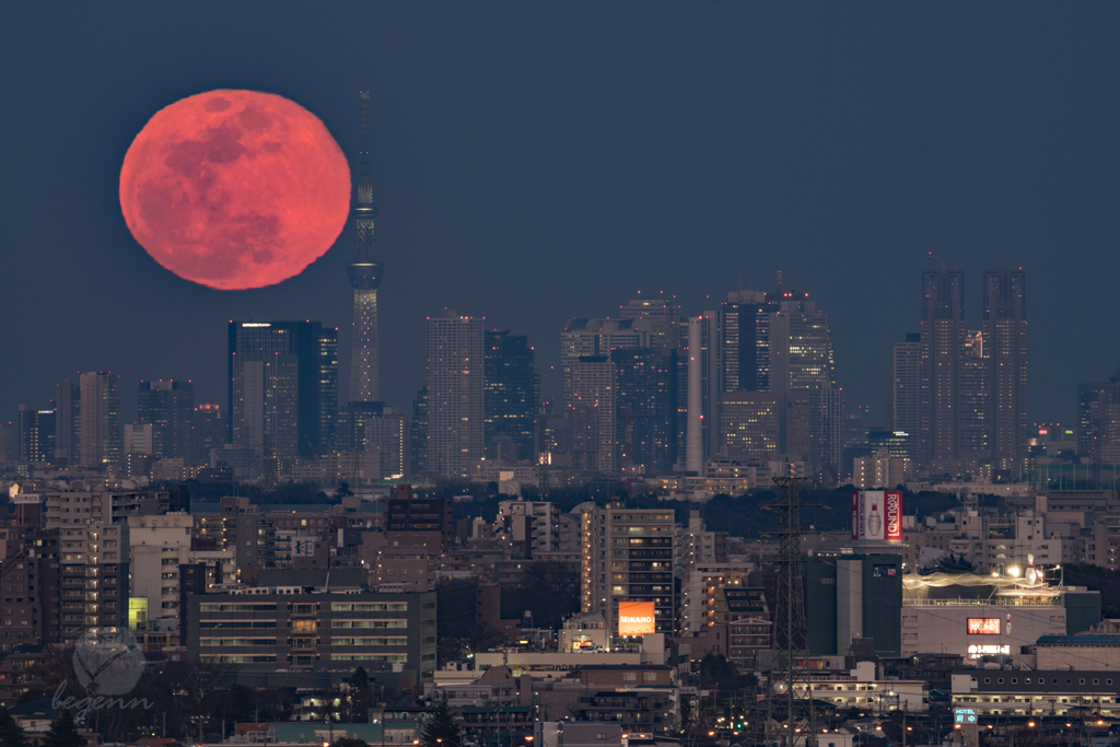 十五夜