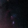 Orion