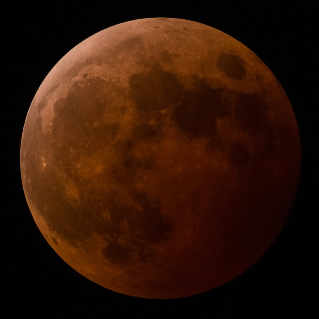 Brad moon