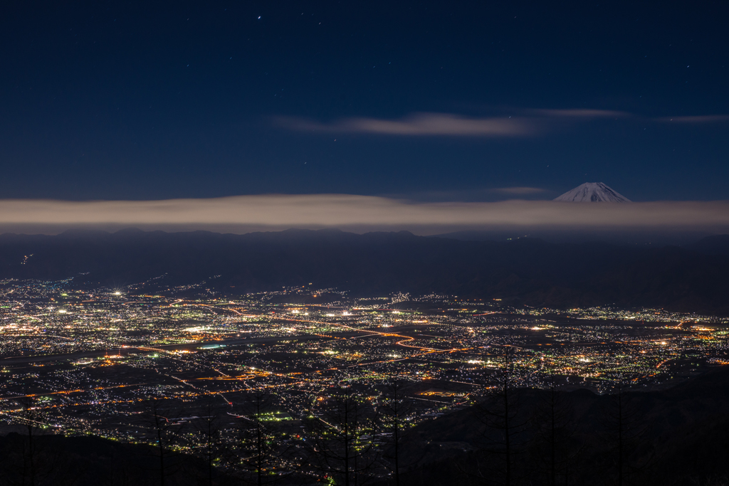 Moonlight