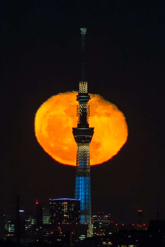 昇る立待ち月